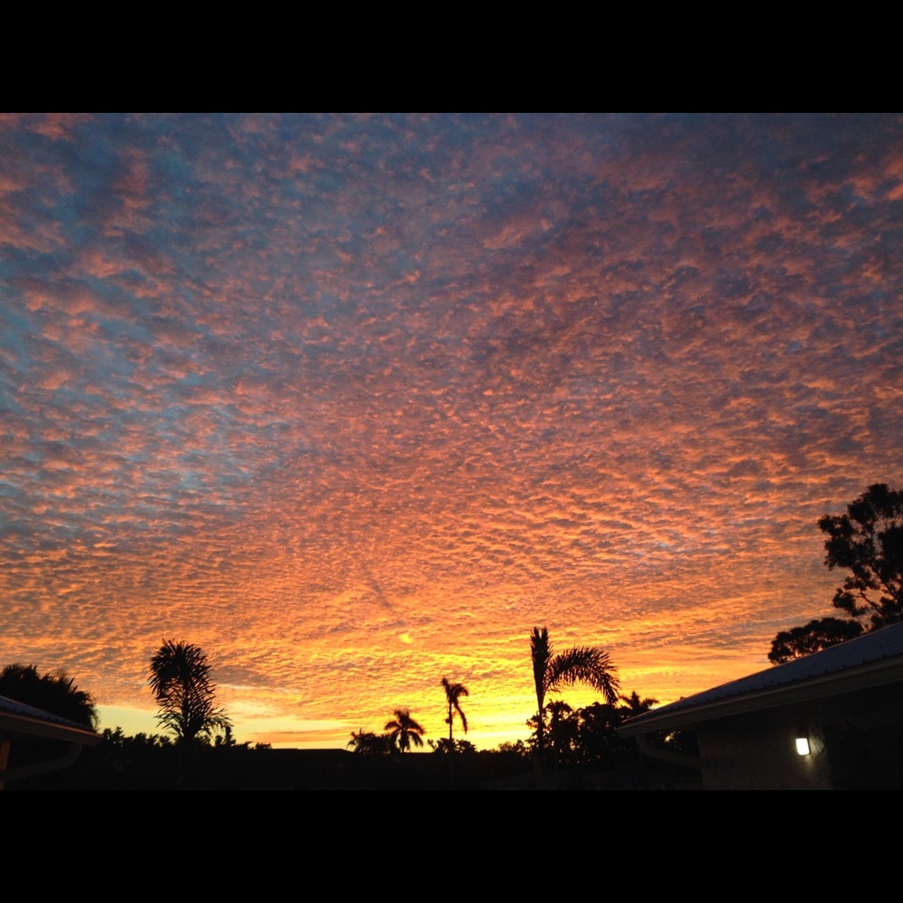 Meet your Posher, Ddiana